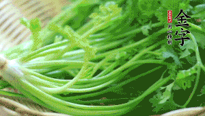 挑選鮮嫩的香菜，洗干凈后，處理成小段。